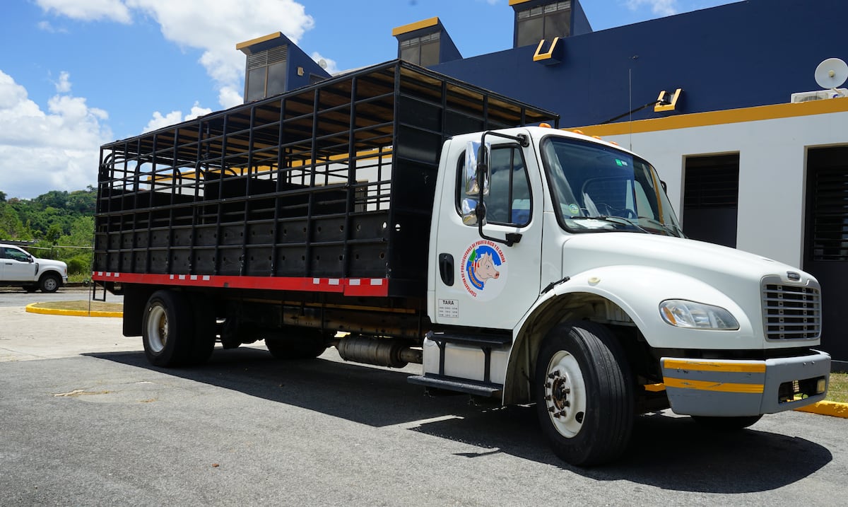 Puerto Rican Cooperative Opens $2.8 Million Meat Plant Aiming to Cut Import Dependency