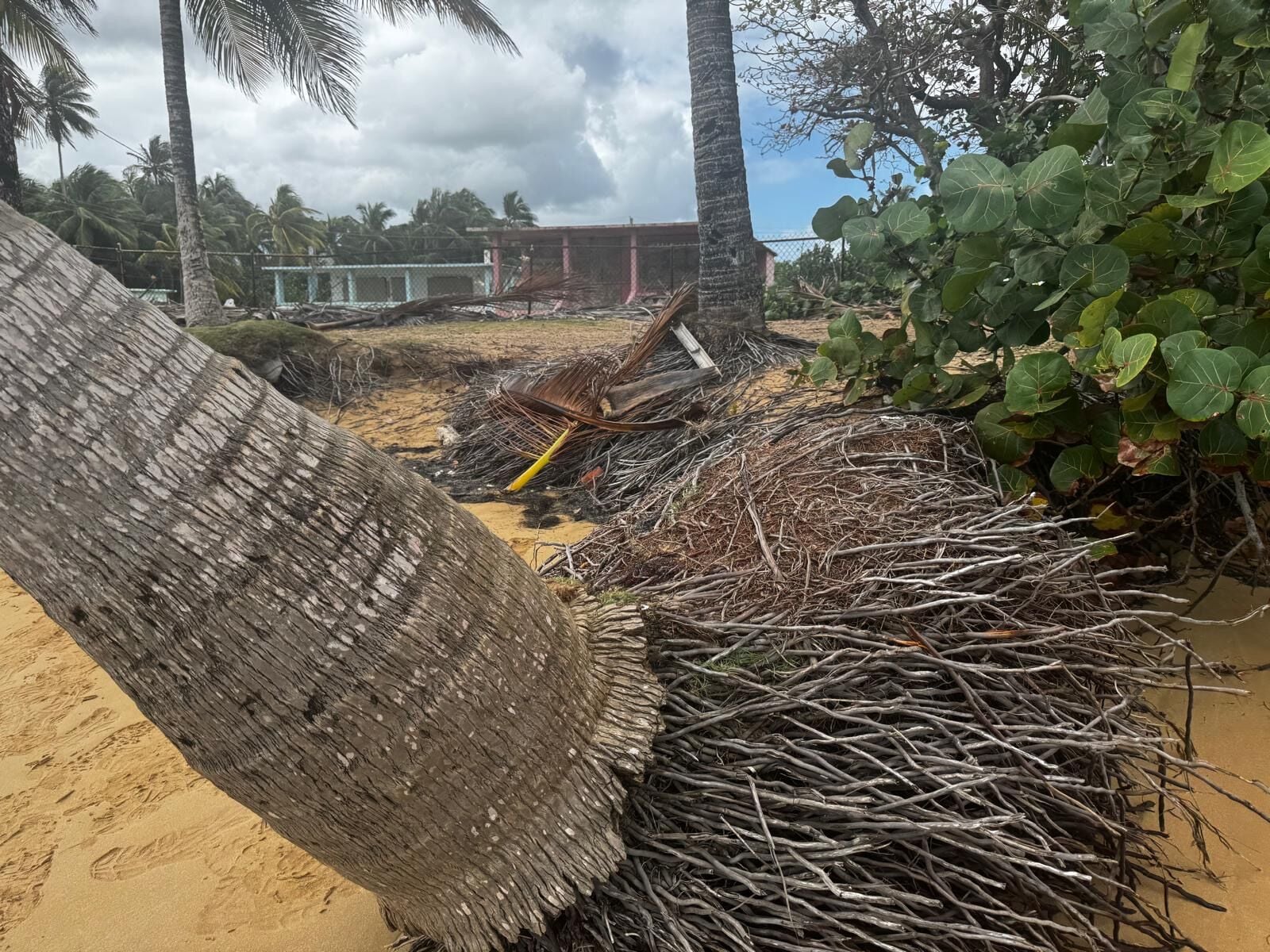 Erosion Threatens 75% of Surveyed Beaches on Puerto Rico's North Coast
