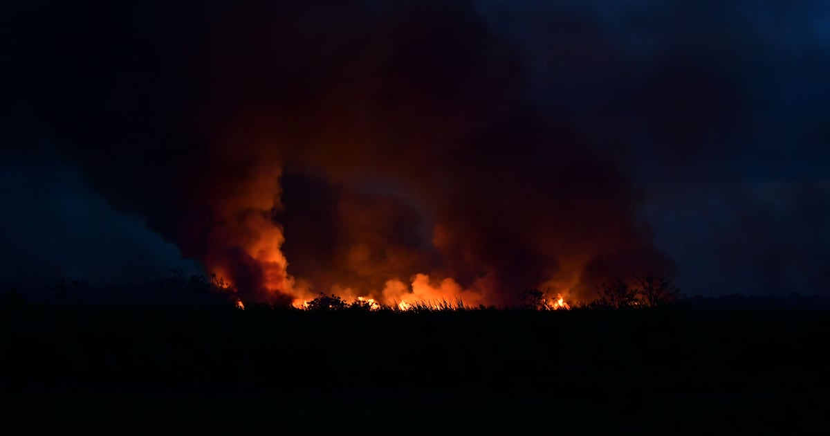 Puerto Rico Under Red Flag Warning as Wildfire Risk Spikes at the Peak of the Drought