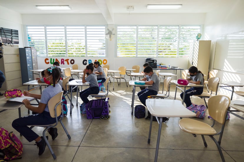 Crece Test Results Reach Highest Level in Over Two Decades